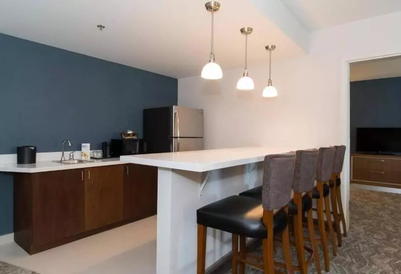 Springhill Suites By Marriott Charlotte Ballantyne