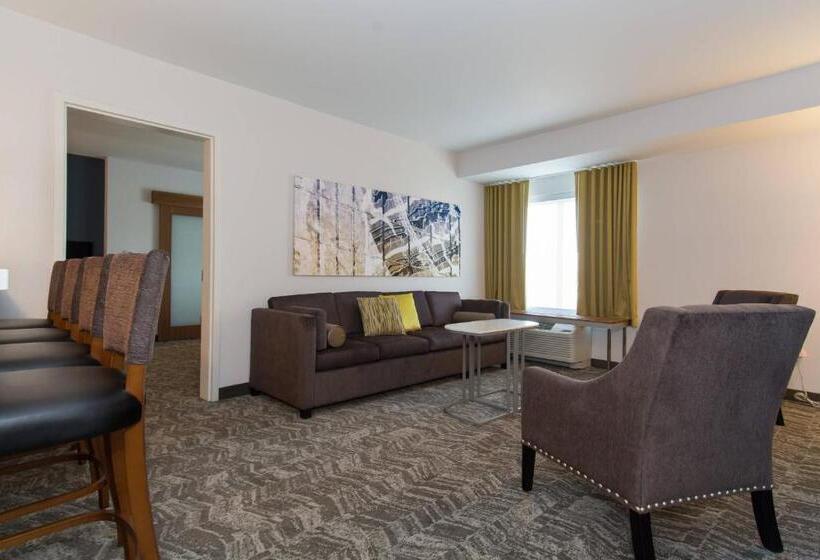 Springhill Suites By Marriott Charlotte Ballantyne