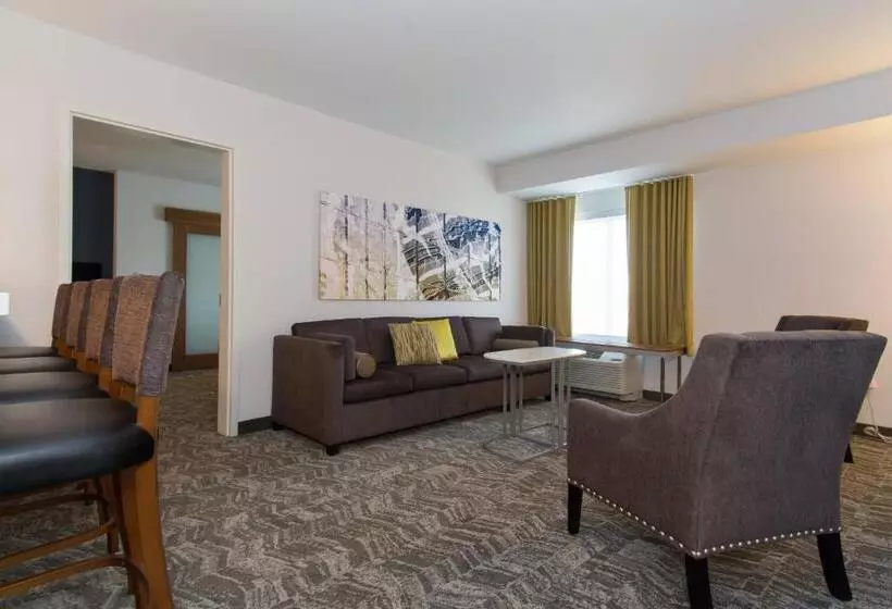 Springhill Suites By Marriott Charlotte Ballantyne