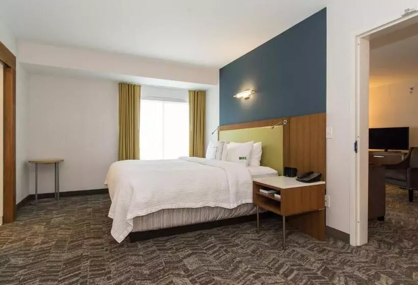 Springhill Suites By Marriott Charlotte Ballantyne