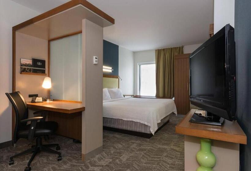 Springhill Suites By Marriott Charlotte Ballantyne