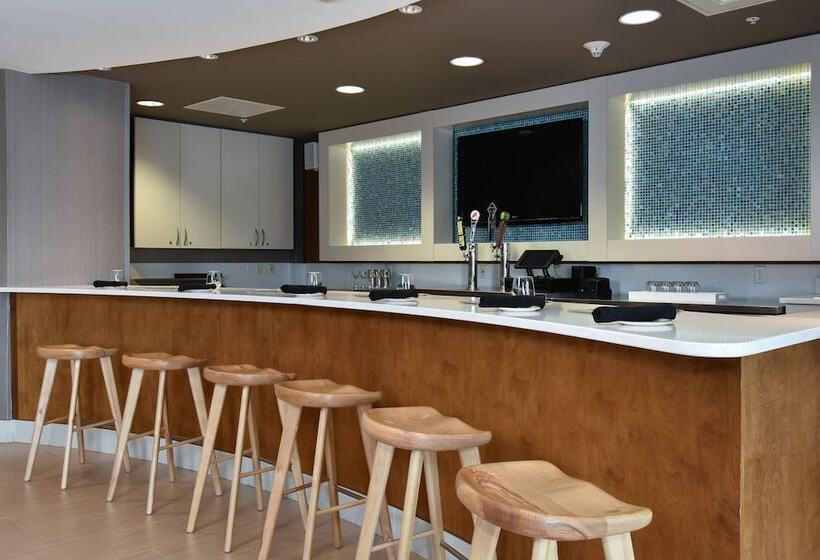 Springhill Suites Columbia Downtown The Vista