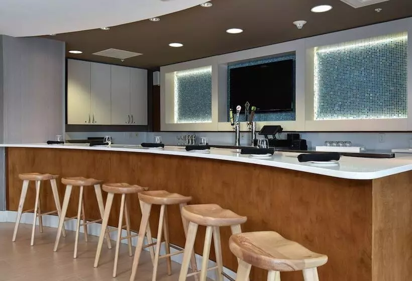 Springhill Suites Columbia Downtown The Vista