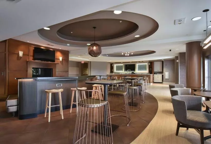 Springhill Suites Columbia Downtown The Vista