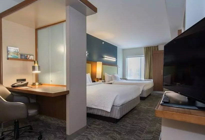 Springhill Suites Columbia Downtown The Vista