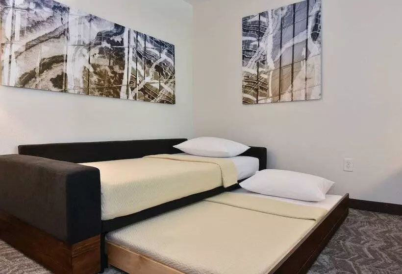 Springhill Suites Columbia Downtown The Vista