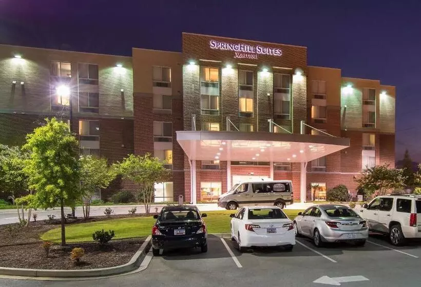 Springhill Suites Columbia Downtown The Vista