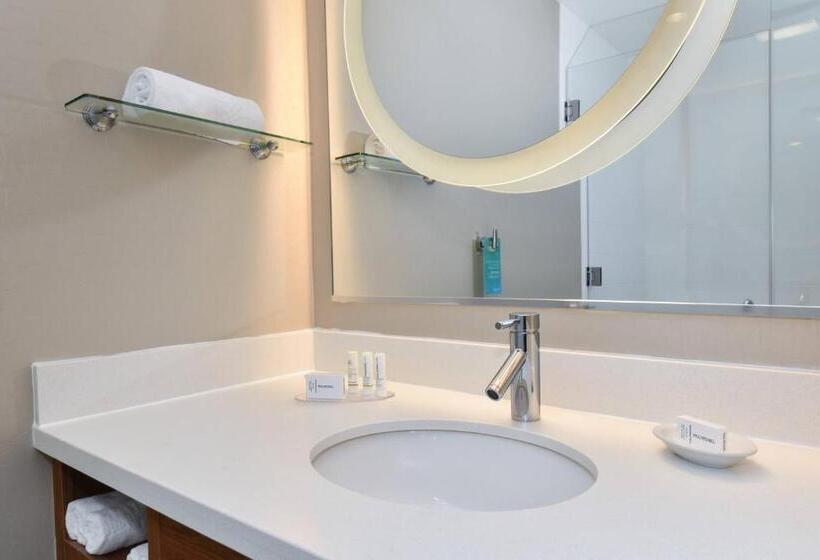 Springhill Suites Columbia Downtown The Vista