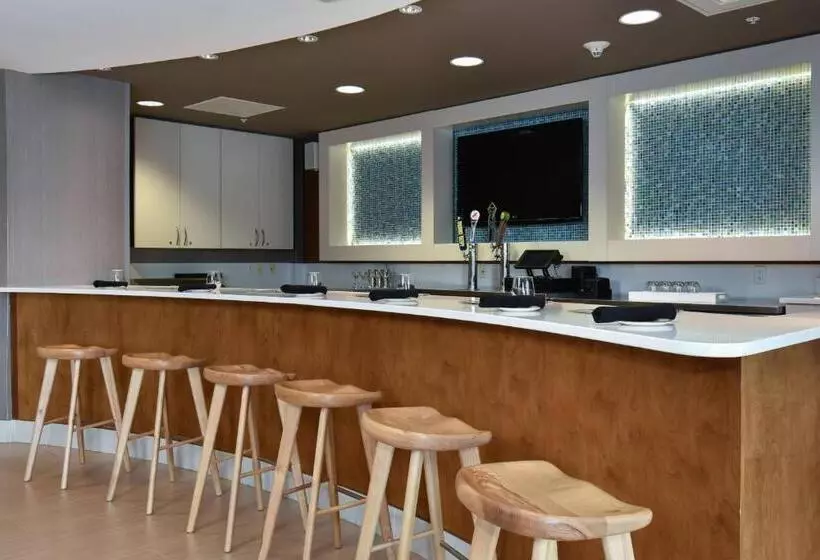 Springhill Suites Columbia Downtown The Vista