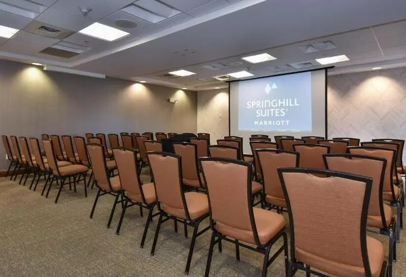 Springhill Suites Columbia Downtown The Vista