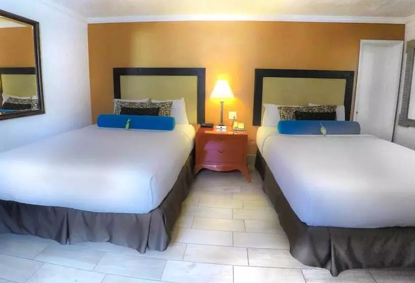 Hotel Adara Palm Springs