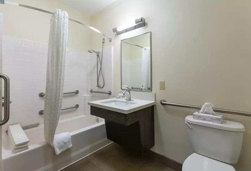 酒店 Candlewood Suites San Marcos, An Ihg