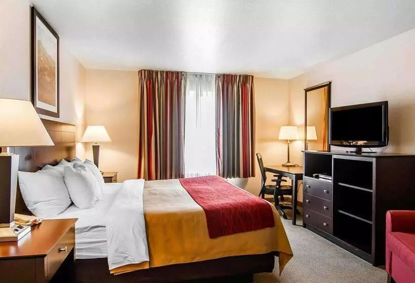 ホテル Comfort Inn & Suites Creswell