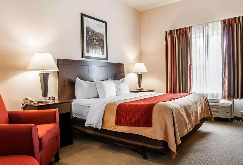 ホテル Comfort Inn & Suites Creswell