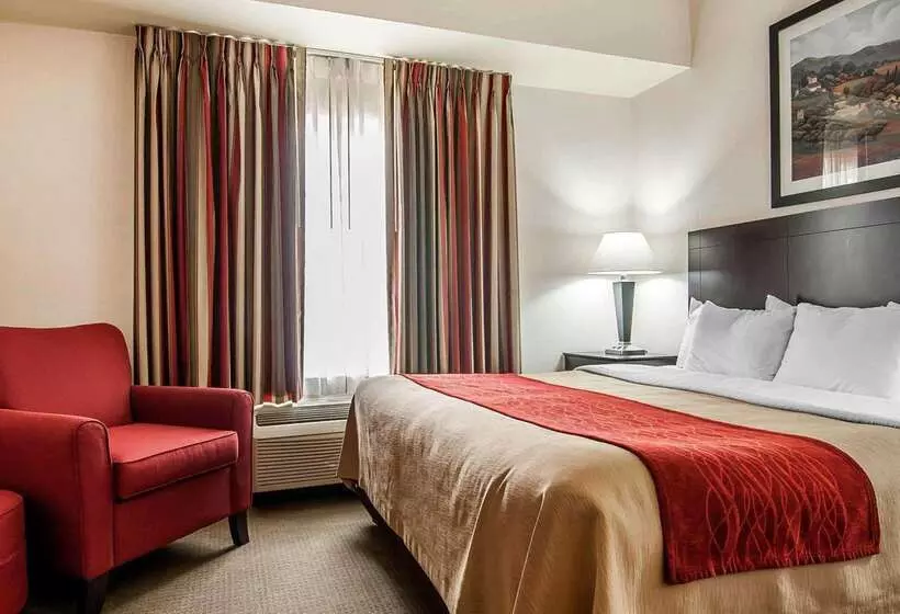 ホテル Comfort Inn & Suites Creswell