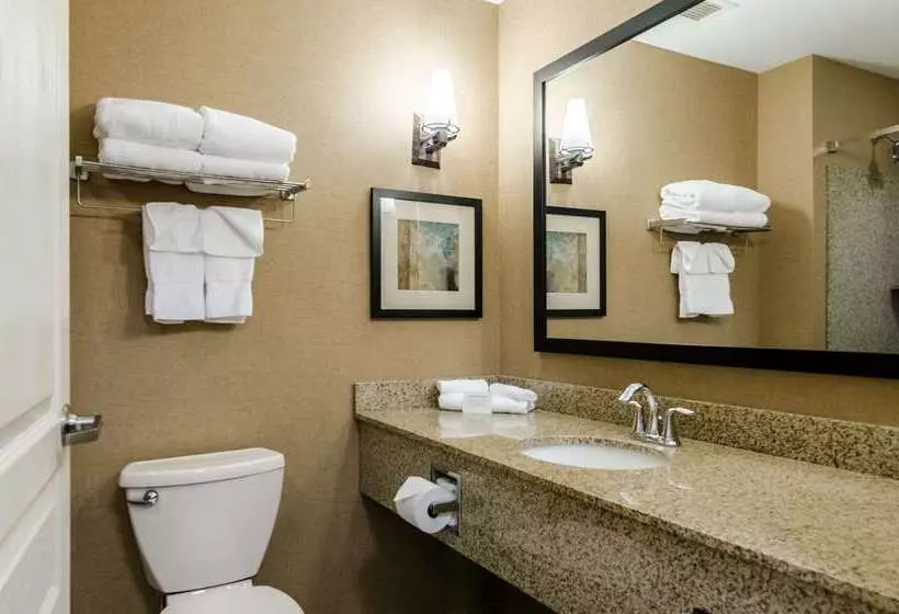 호텔 Comfort Suites Gothenburg