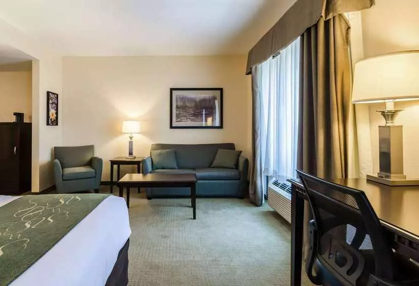 호텔 Comfort Suites Gothenburg