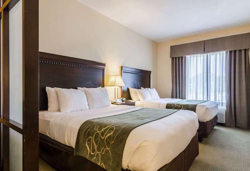 호텔 Comfort Suites Gothenburg