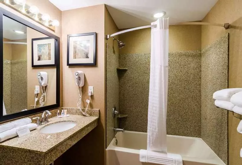 호텔 Comfort Suites Gothenburg