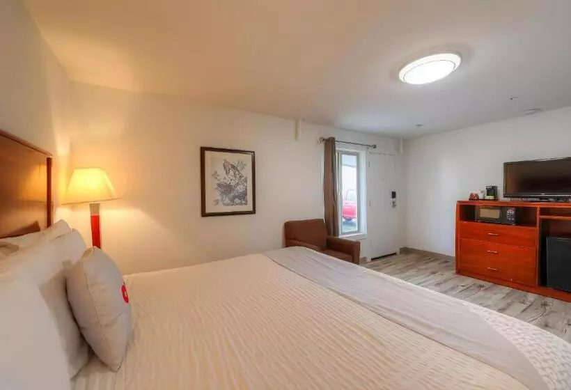 Отель Knights Inn Newport