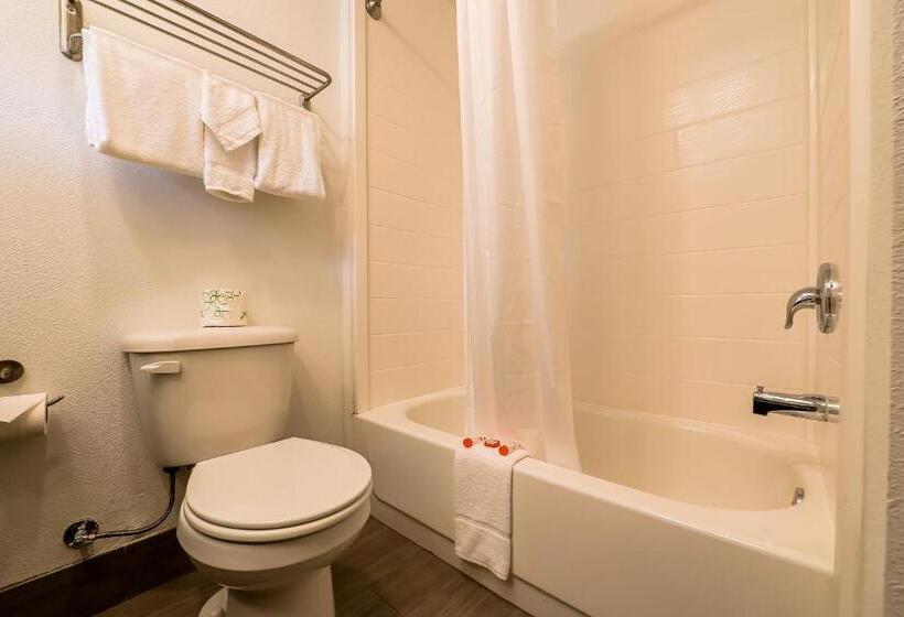 Отель Knights Inn Newport