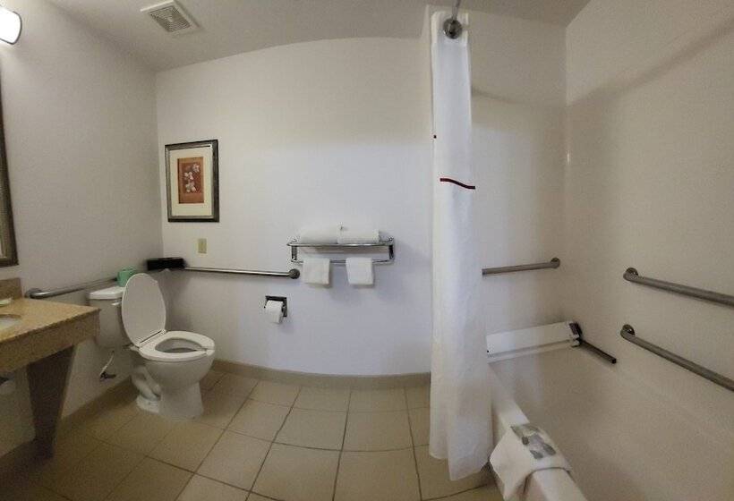 فندق Red Roof Inn & Suites Midland