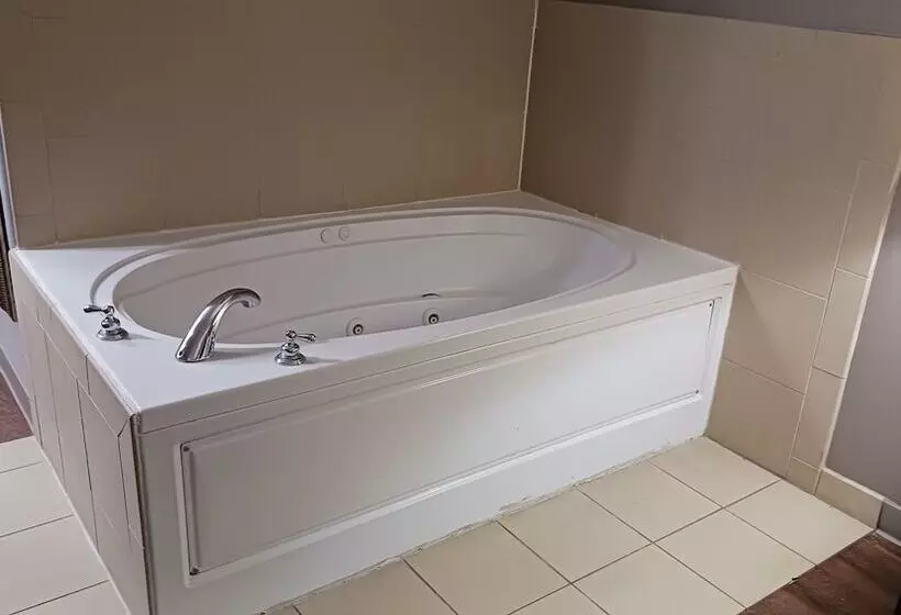 هتل Red Roof Inn & Suites Midland