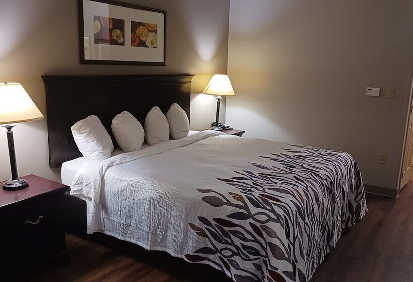 فندق Red Roof Inn & Suites Midland