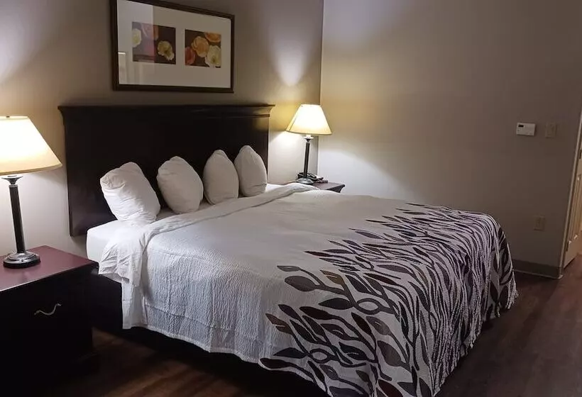 هتل Red Roof Inn & Suites Midland