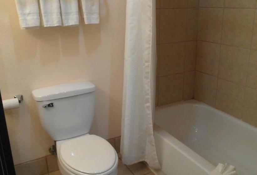 فندق Robinson Inn And Suites