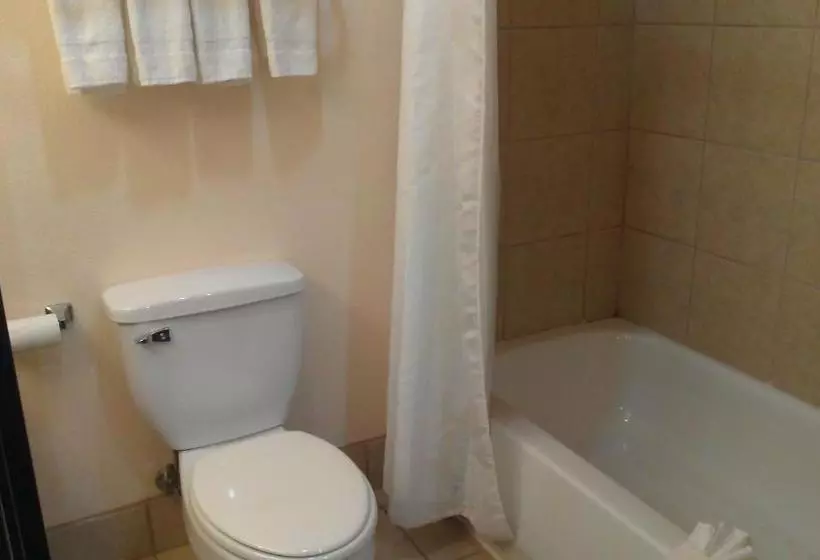 ホテル Robinson Inn And Suites