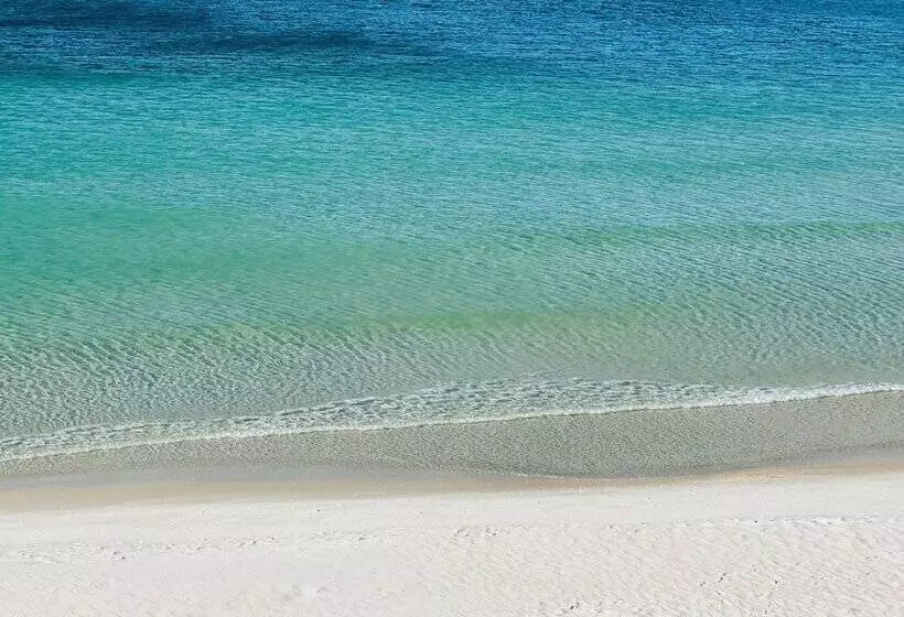 酒店 Studios At Fontainebleau Terrace