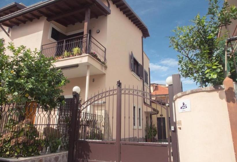 مبيت وإفطار Flower Inn