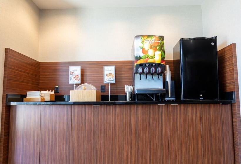 Fairfield Inn & Suites By Marriott Athens I 65