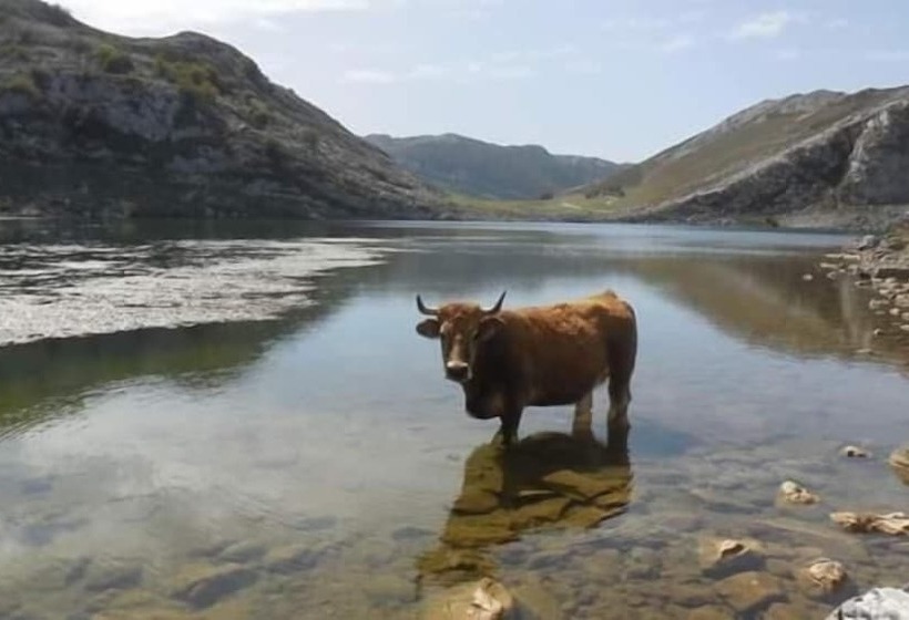 בית מלון כפרי Alda