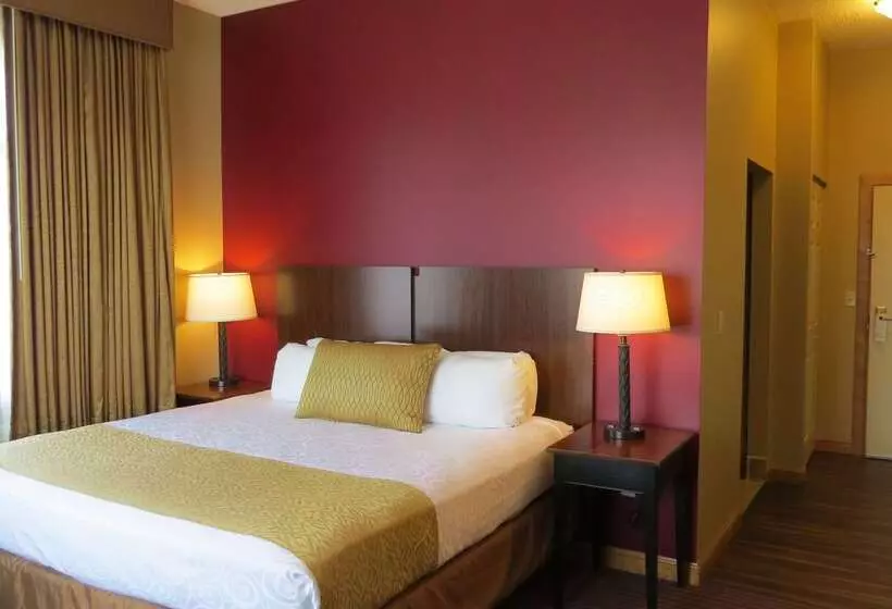 فندق Best Western Plus Dutch Haus Inn And Suites