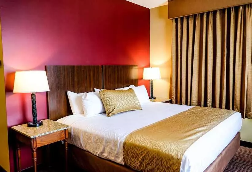 فندق Best Western Plus Dutch Haus Inn And Suites