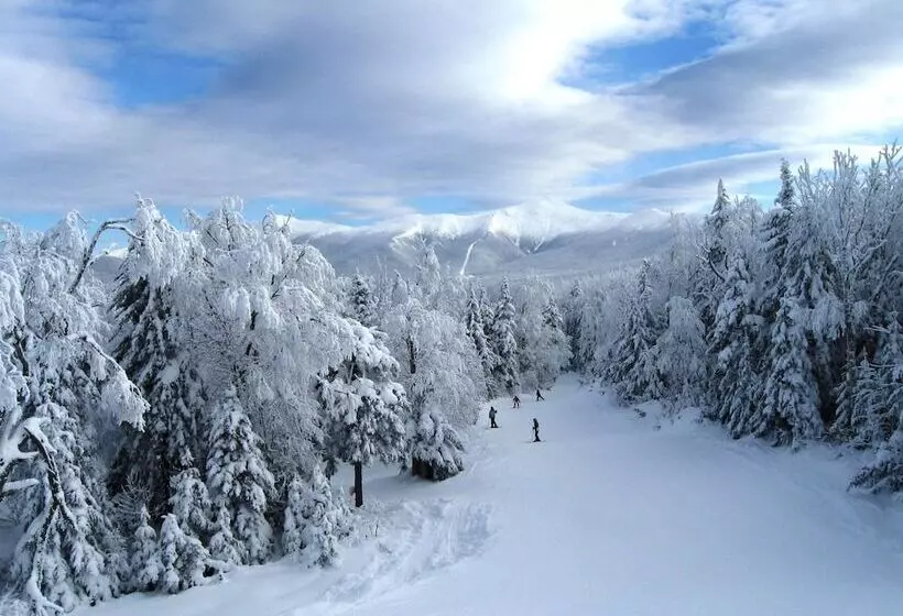 酒店 Christmas Farm Inn And Spa