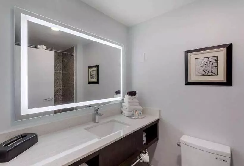 Отель Comfort Suites Mt. Julietnashville Area