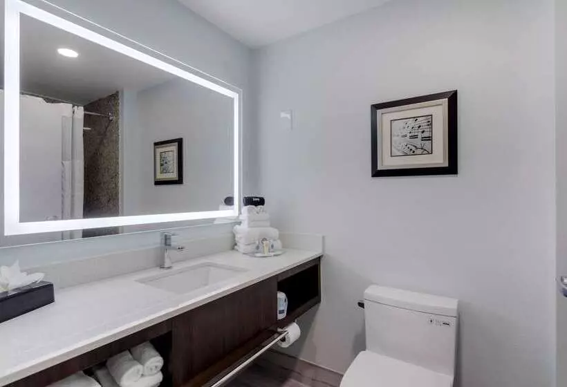 Отель Comfort Suites Mt. Julietnashville Area