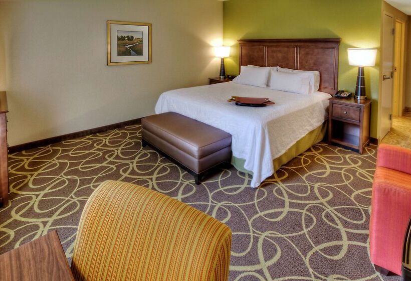 فندق Hampton Inn & Suites Rochester/henrietta