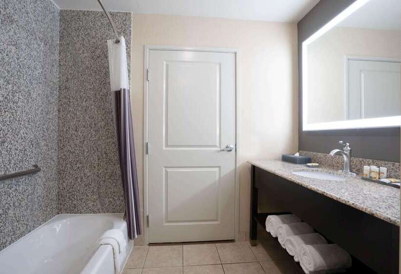 酒店 La Quinta By Wyndham Houston Energy Corridor