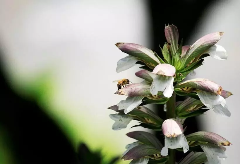 בית מלון כפרי Ocean Echo Inn & Beach Cottages