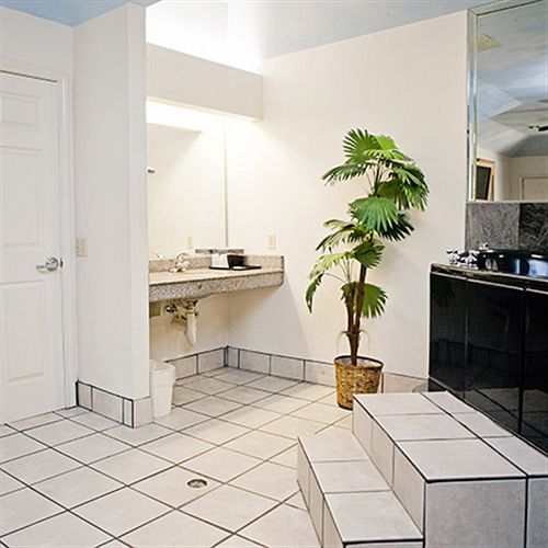 ホテル Palace Inn &Suites Willowbrook