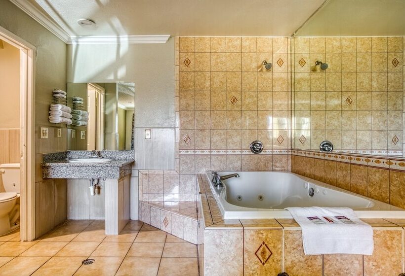 فندق Passport Inn