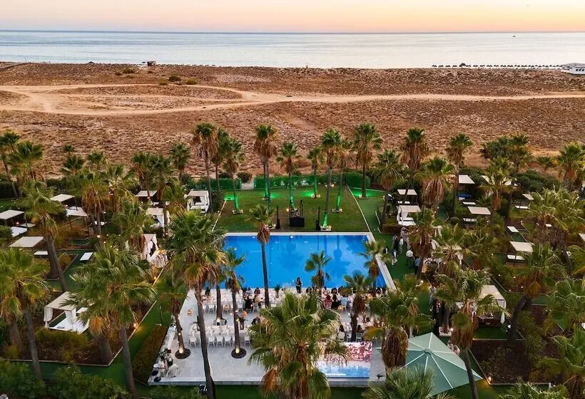 Wine & Books by the Sea, Algarve Resort