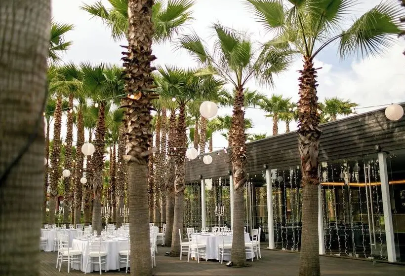Wine & Books by the Sea, Algarve Resort