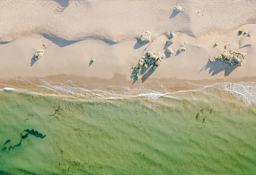 Wine & Books by the Sea, Algarve Resort