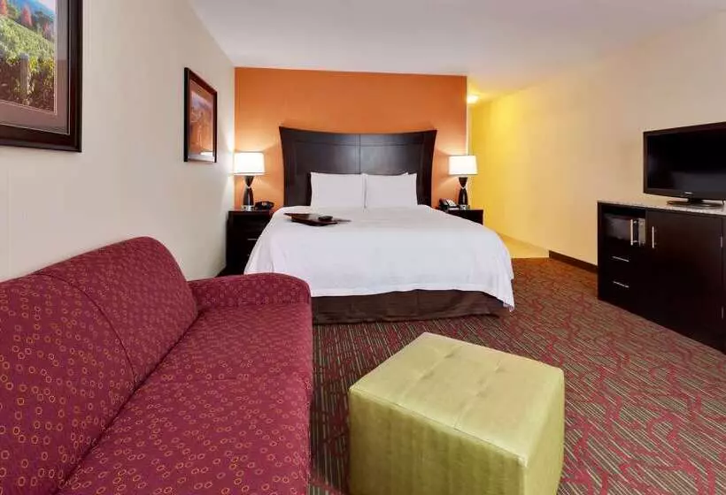 Hotel Hampton Inn Seneca Falls