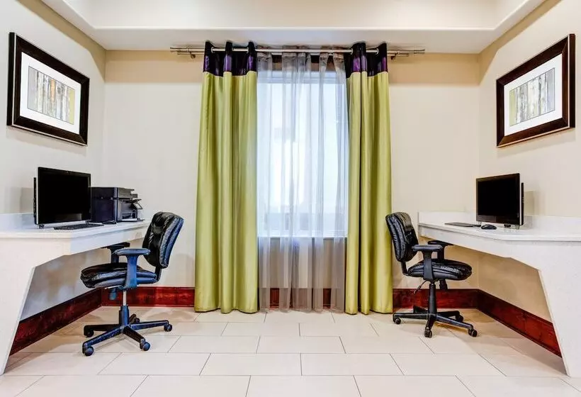 酒店 Holiday Inn Express & Suites Raceland Highway 90, An Ihg